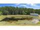 A tranquil pond teeming with lily pads backed by lush, dense forest at 4145 Rambler Ave, St Cloud, FL 34772