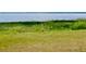 Lush lakefront with grassy fields in Indian Lake Estates, Florida at 7380 Orange Ave, Indian Lake Estates, FL 33855