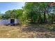 A view of the backyard shed set among lush greenery offering ample storage space at 940 Valencia Ave, Daytona Beach, FL 32114
