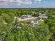 A bird's-eye view of the neighborhood and the property with lush trees and glimpses of the cityscape at 102 Judges Ln, Port Orange, FL 32129