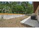 View of the backyard featuring mature trees, block wall, and concrete patio at 1209 James Ter, Daytona Beach, FL 32117