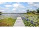 Stunning lake view featuring a private wooden dock and lush lily pads at 2055 Little Farms Ct, Deltona, FL 32738