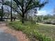 Large lot with a combination of grassy areas, trees, and ferns providing a natural buffer at 2068 Pennsylvania Dr, Deland, FL 32724