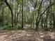Heavily wooded lot offering privacy and a natural environment, ideal for nature enthusiasts at 2068 Pennsylvania Dr, Deland, FL 32724