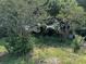 A view of an overgrown yard with greenery, shrubs, and trees obscuring a structure in the background at 2210 Se 1St St, Orange City, FL 32763