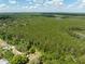 Extensive aerial shot of a sprawling green forest, highlighting the serene environment at 29505 North, Paisley, FL 32767