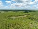 An extensive landscape of trees and waterbodies, showcasing nature and tranquility at 29505 North, Paisley, FL 32767