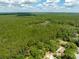 Panoramic aerial view of a vast forest area showcasing the natural beauty of the surroundings at 29505 North, Paisley, FL 32767