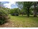 Large, green backyard offering ample space for outdoor activities and relaxation at 29505 North, Paisley, FL 32767