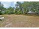 Large backyard with mature trees at 3001 Inca Ct, Deltona, FL 32738