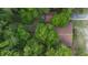 Aerial shot showing the home surrounded by lush greenery and mature trees at 409 S Sparkman Ave, Orange City, FL 32763