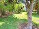 Common area showcasing mature tree, lush greenery and outdoor recreation space at 783 Shropshire Loop, Sanford, FL 32771