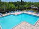 Beautiful community pool with many lounge chairs and tropical landscaping at 783 Shropshire Loop, Sanford, FL 32771