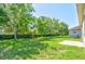 Spacious fenced backyard with lush green lawn and mature trees, perfect for outdoor enjoyment and privacy at 12079 Alder Branch Loop, Orlando, FL 32824