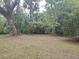 Private backyard with mature trees and natural landscape, creating a peaceful retreat at 1725 Turtle Hill Rd, Enterprise, FL 32725