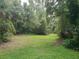 Green backyard offers a sense of privacy and tranquility in a natural setting at 1725 Turtle Hill Rd, Enterprise, FL 32725