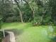 Lush, green yard with mature trees and shrubs viewed from an exterior window at 1725 Turtle Hill Rd, Enterprise, FL 32725