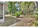 Lush backyard with mature trees, providing a serene and private outdoor setting at 2004 Quail Hollow Dr, Deland, FL 32720