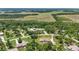 Wide aerial shot of properties nestled amidst mature trees and vast green fields at 226 Treeline Ln, Ormond Beach, FL 32174