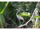 Beautiful outdoor space featuring metal yard art among lush tropical landscaping at 3026 Adrian Dr, Ormond Beach, FL 32174