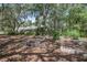 Landscaped backyard with garden beds and mature trees, perfect for gardening and outdoor enjoyment at 3357 Black Willow Trl, Deland, FL 32724