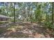 Expansive backyard with natural landscaping and mature trees, offering a peaceful and private retreat at 3357 Black Willow Trl, Deland, FL 32724