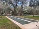Outdoor shuffleboard courts for community recreation, surrounded by lush greenery at 37 Meadowwood Trl, Deland, FL 32724