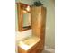 Bathroom featuring a sink with storage, a mirror, and neutral-toned walls at 3788 Fir Ct, Ormond Beach, FL 32174