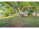 Lush backyard featuring a mature tree providing shade and a spacious area for recreation at 541 Northwestern Ave, Altamonte Springs, FL 32714