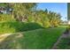 Spacious backyard featuring lush green grass and mature landscaping, providing privacy at 701 N Tuxedo Ave, Deland, FL 32724
