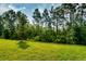Lush green backyard featuring a well-manicured lawn and a backdrop of mature trees at 16241 Honey Harvest St, Winter Garden, FL 34787