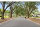 Neighborhood street with mature trees lining the road, offering a serene and picturesque setting at 1637 Bent Oaks Blvd, Deland, FL 32724
