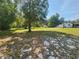Overview of the spacious lot showcasing a mix of grass and sandy areas at 1880 N Sparkman Ave, Orange City, FL 32763