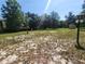 Expansive yard area with mature trees and a shed in the background at 1880 N Sparkman Ave, Orange City, FL 32763
