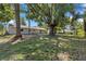 Expansive backyard with lush greenery and mature trees providing ample shade at 2106 Umbrella Tree Dr, Edgewater, FL 32141