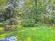 Deer Gathering grazing peacefully in a lush green backyard surrounded by mature trees and landscaping at 4073 N Chinook Ln, Ormond Beach, FL 32174