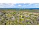 Picturesque aerial shot of property surrounded by trees with waterfront views at 5721 John Anderson Hwy, Flagler Beach, FL 32136