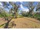 Large grassy yard surrounded by mature trees and lush vegetation at 5721 John Anderson Hwy, Flagler Beach, FL 32136