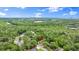 Expansive aerial view of property surrounded by lush greenery and neighborhood landscape at 96 Hollow Branch Xing, Ormond Beach, FL 32174