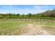 Lush vineyard with rows of grape vines under a blue sky, showcasing agricultural potential at 1056 Reynolds Rd, De Leon Springs, FL 32130
