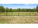 Long view of vineyard rows and grassy field showing well spaced rows in the vineyard at 1056 Reynolds Rd, De Leon Springs, FL 32130
