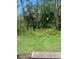 The backyard features a mix of grassy areas and natural vegetation, providing a private outdoor space at 112 Lost Ball Dr, Daytona Beach, FL 32124