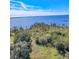 Picturesque aerial view featuring lakefront acreage with mature trees and foliage at 1520 Stone Trl, Enterprise, FL 32725