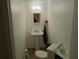Cozy bathroom with a pedestal sink, toilet, and small mirror at 20422 Canvas Back Rd, Altoona, FL 32702