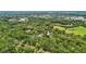 Expansive aerial shot of a secluded property with winding driveway and mature trees at 2221 Oak Hill Dr, Deland, FL 32720
