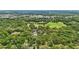 Expansive aerial shot of a secluded property with winding driveway and mature trees at 2221 Oak Hill Dr, Deland, FL 32720