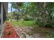 Backyard featuring a vibrant lawn bordered by landscaped areas with mature trees for shade at 2509 Kumquat Dr, Edgewater, FL 32141