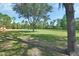 Large, well-manicured backyard with towering trees and distant shed under a clear blue sky at 2699 Audubon Ave, Deland, FL 32720
