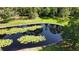 Scenic aerial view of a pond with lily pads and lush green surroundings at 2699 Audubon Ave, Deland, FL 32720