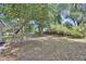 Expansive backyard with mature trees and lush greenery, perfect for outdoor activities at 352 Harlan Ave, Lake Helen, FL 32744
